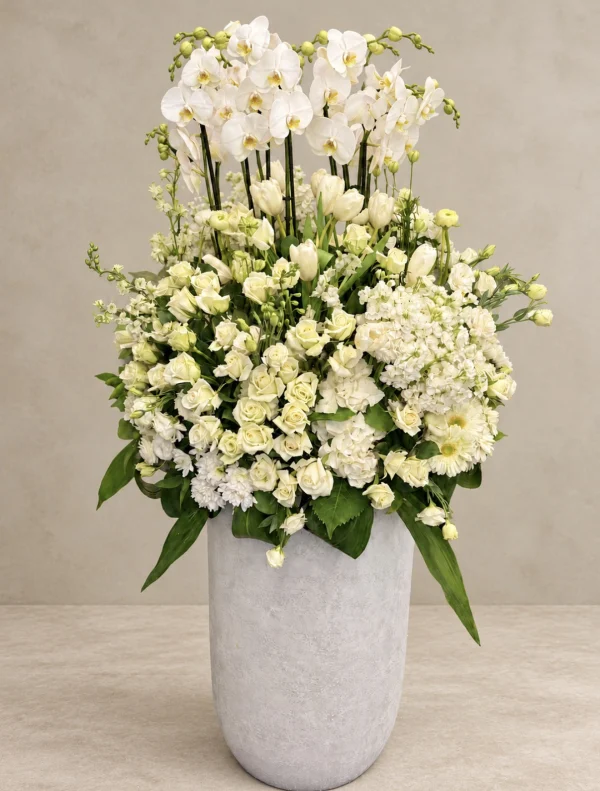 White Orchids