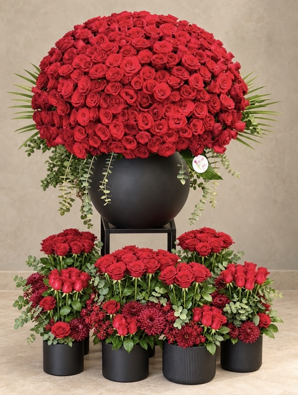 Red Rose Display