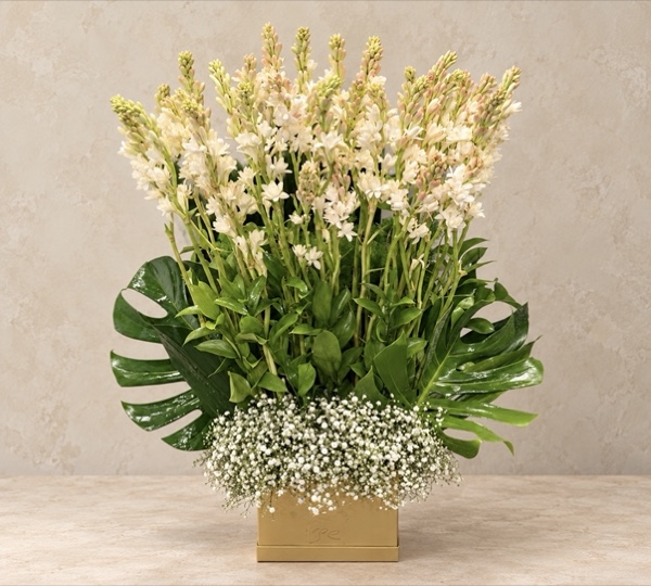 Gold & Tuberose