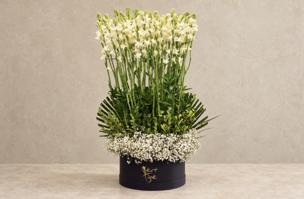 Black & Tuberose