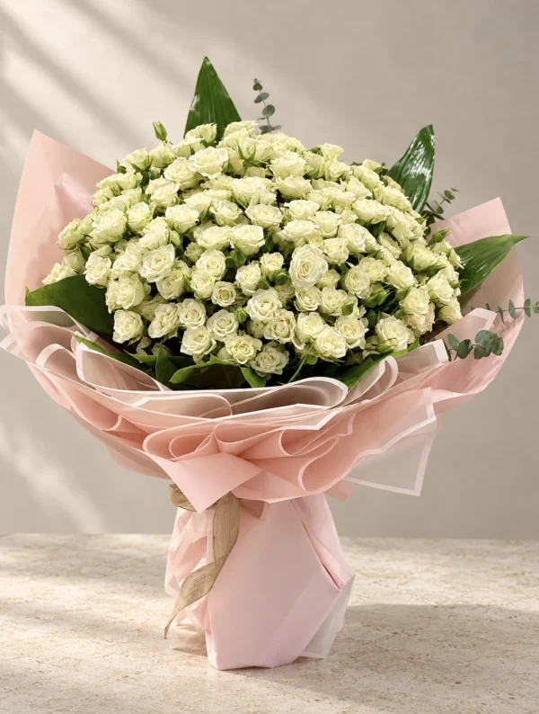 Ivory Blush
