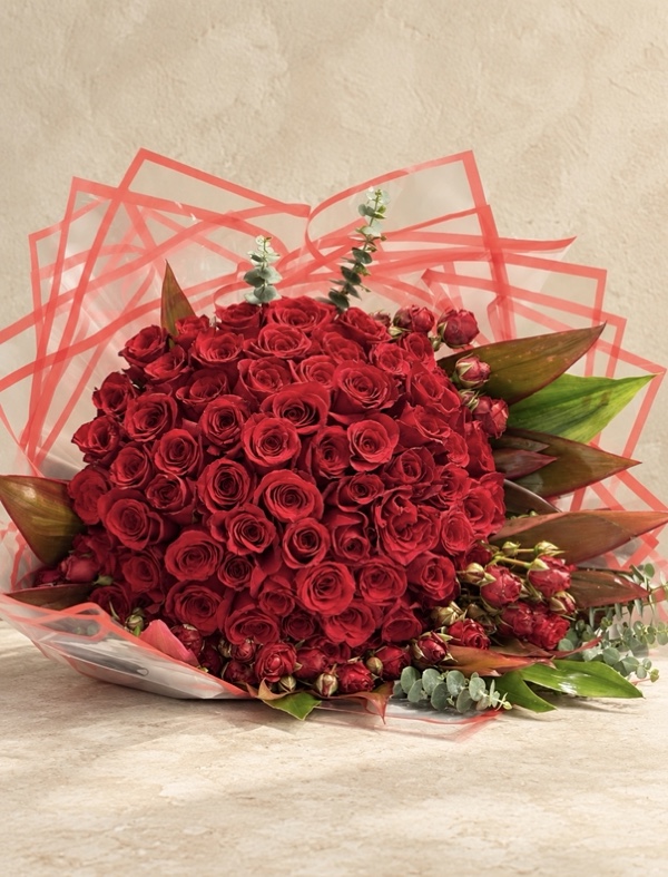 Coral Passion