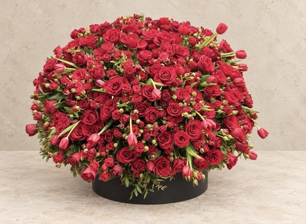 Red Abundance
